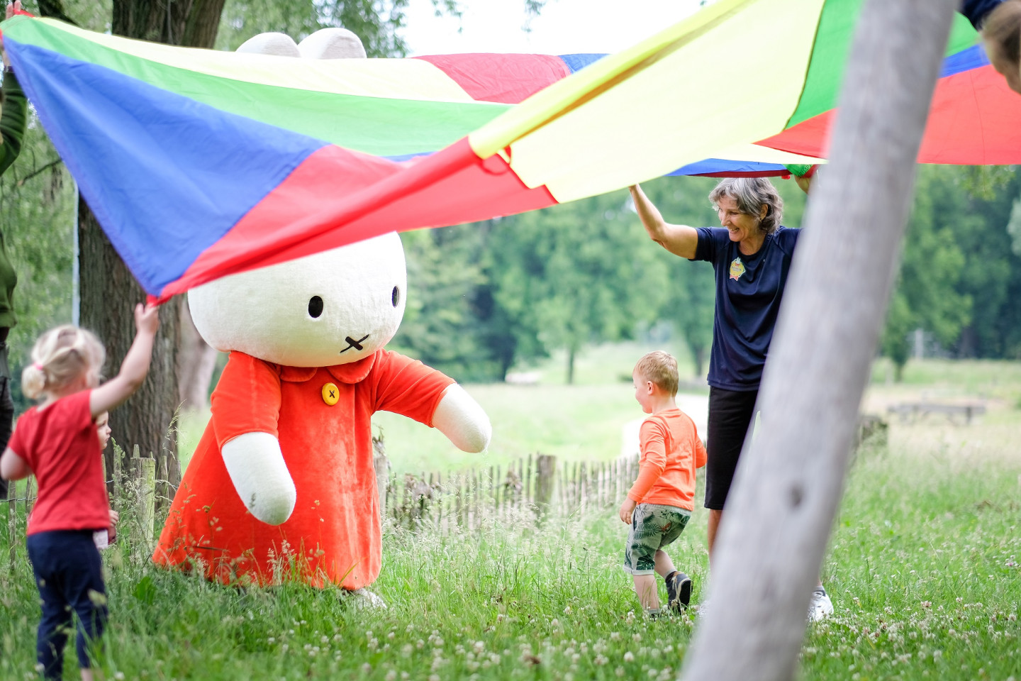 20190614 DSCF0008