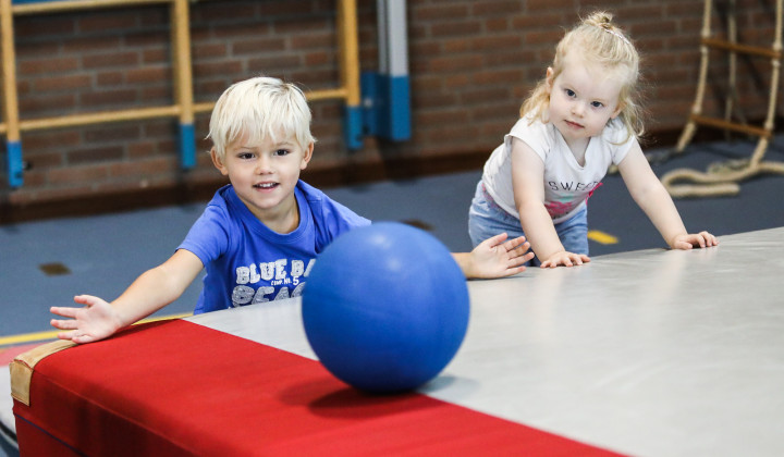 gymalsbasis