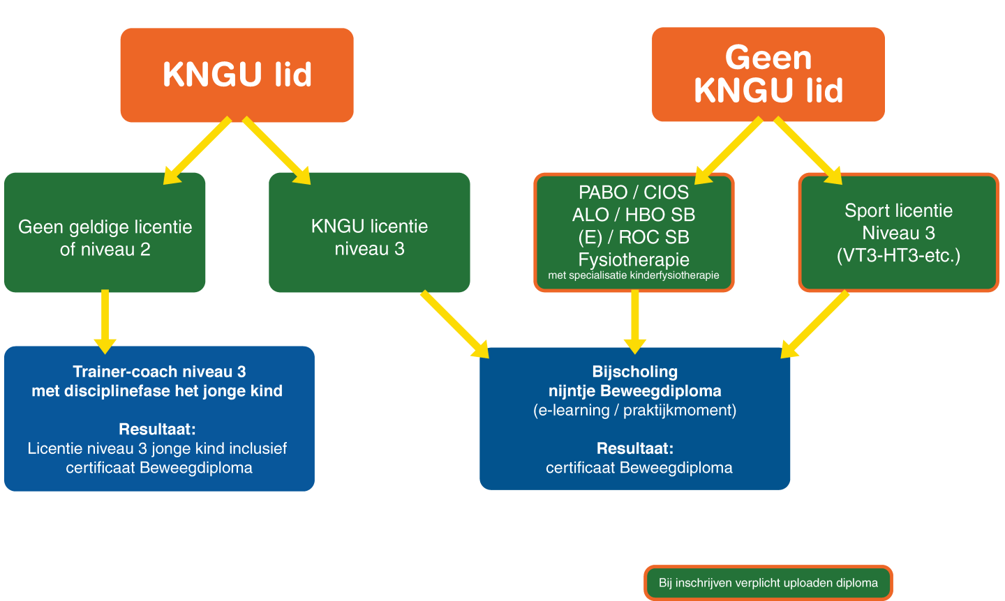 Opleidingsstructuur nijntje Beweegdiploma